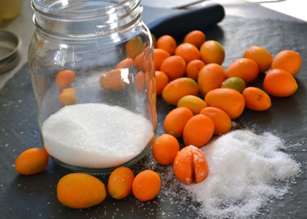 Preserved Kumquats and a Sore Throat Remedy Bean & Bokeh