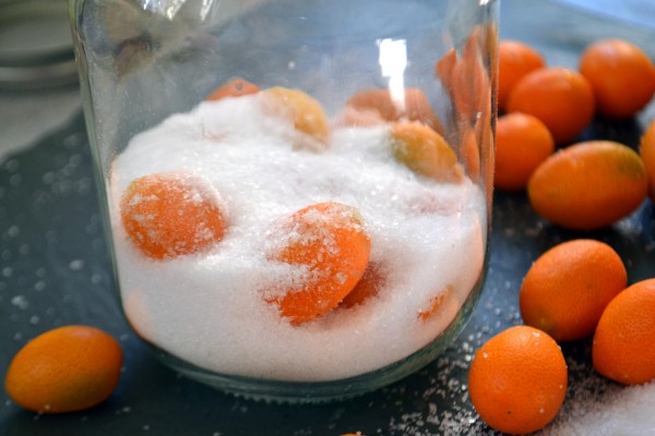 Preserved Kumquats and a Sore Throat Remedy Bean & Bokeh